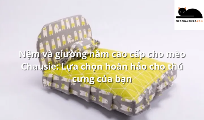 Nệm và giường nằm cao cấp cho mèo Chausie: Lựa chọn hoàn hảo cho thú cưng của bạn