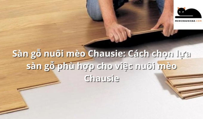 Sàn gỗ nuôi mèo Chausie: Cách chọn lựa sàn gỗ phù hợp cho việc nuôi mèo Chausie